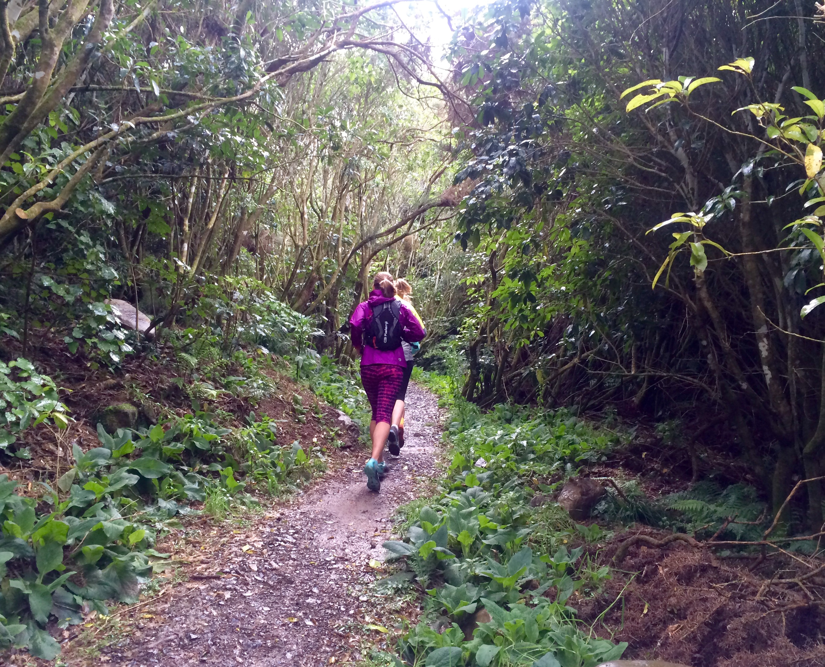 Four Degrees of Separation