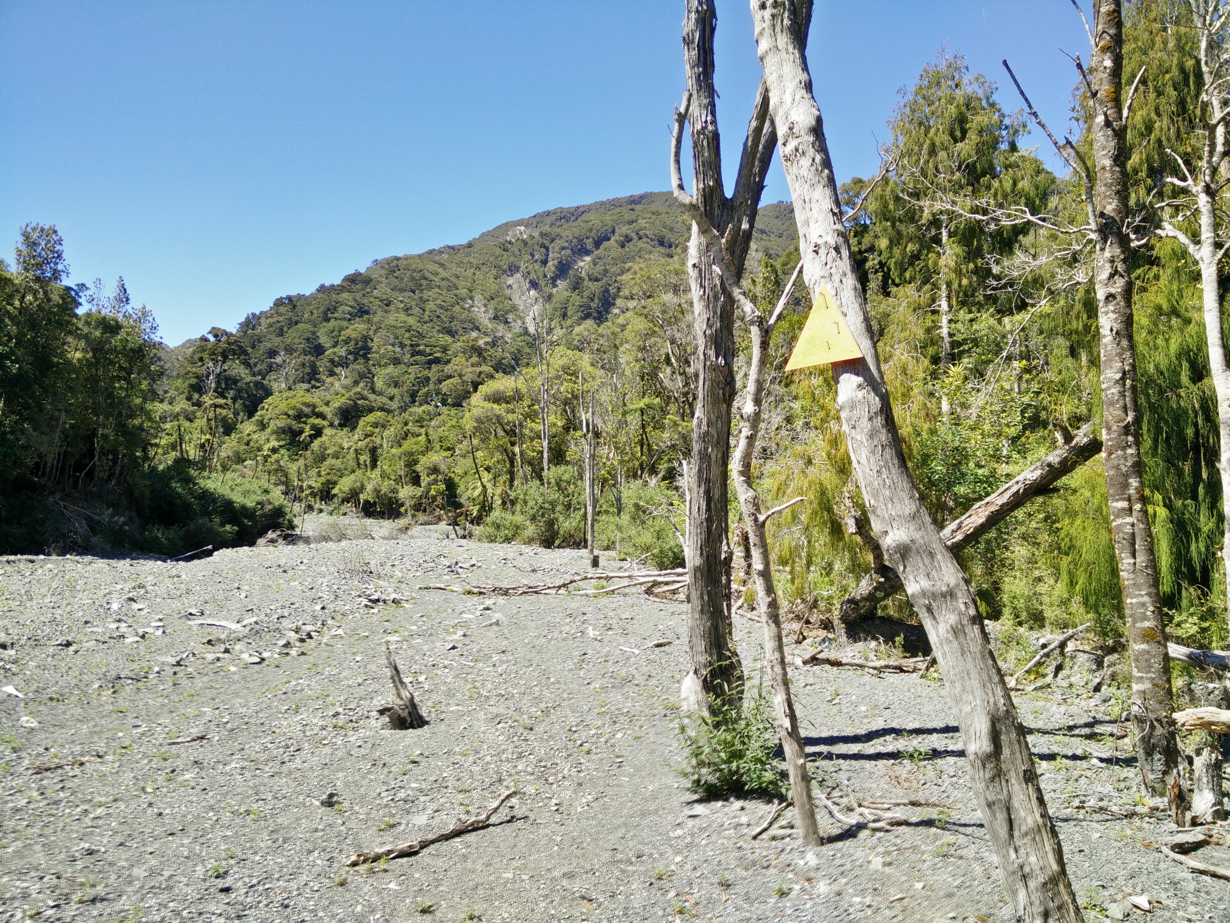 Conquering Mt Matthews