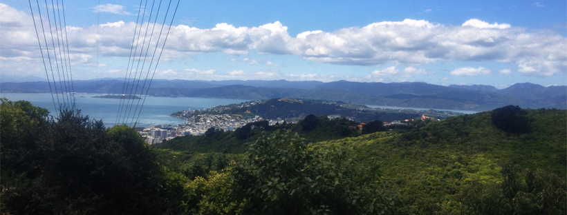 Polhill Reserve — The Golden Triangle