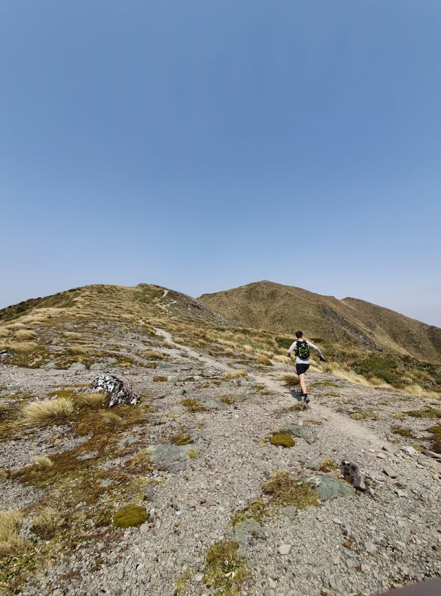 Running along the open tops of the Tararuas