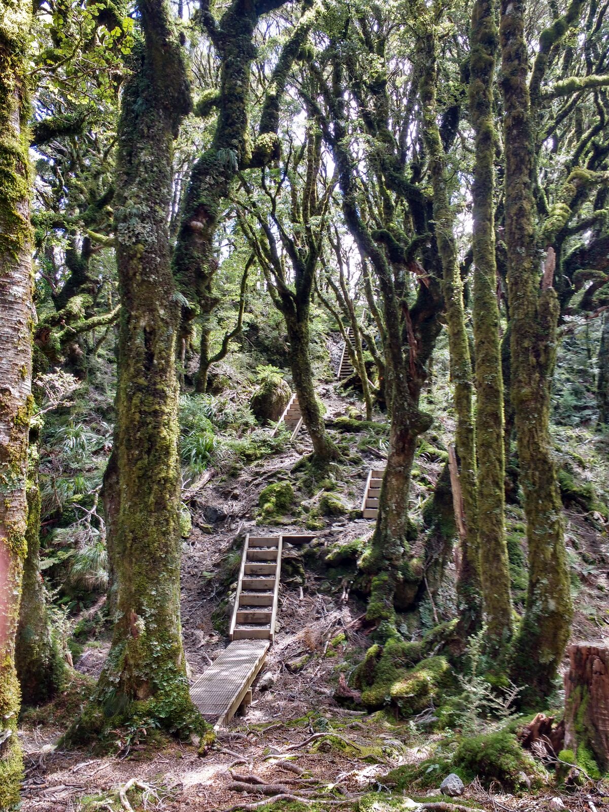 Stairs up to Powell or down from Powell - depending on what direction you choose