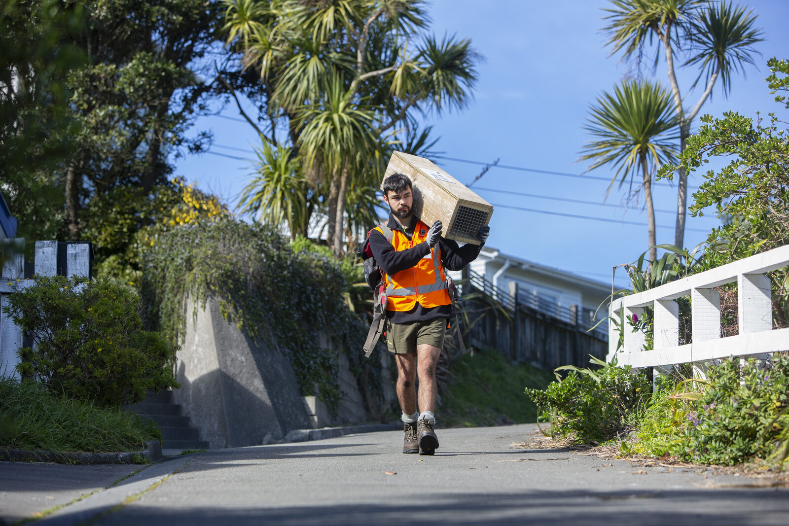 Seb installing traps. Photo courtesy PFW