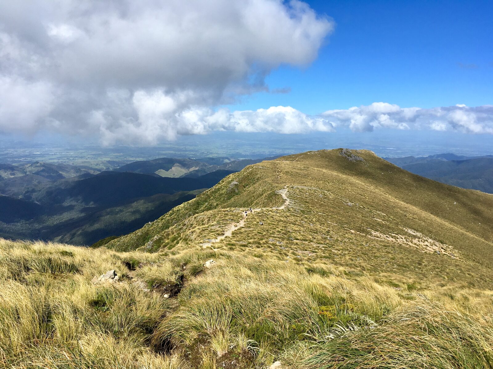 Tararuas on a good day