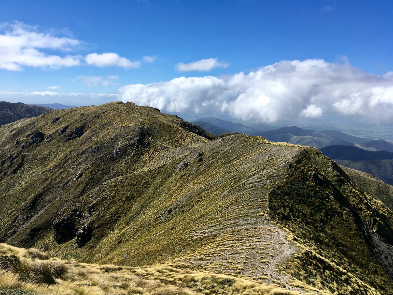 Tararuas on a good day