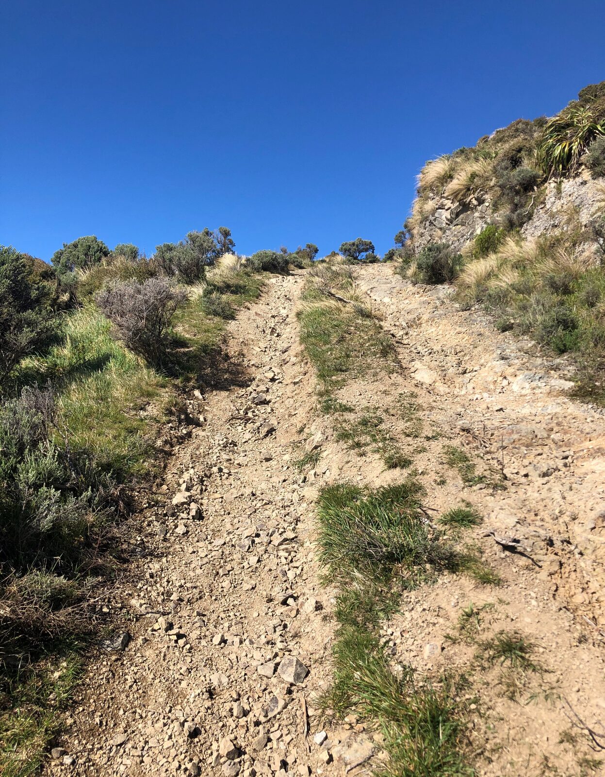 The Tip Track is not flat